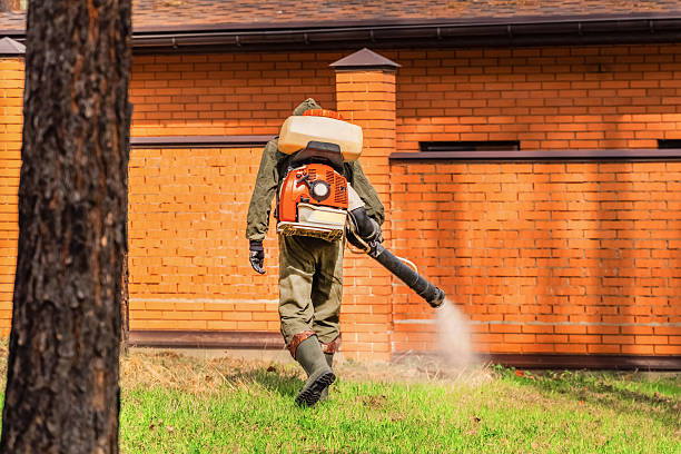 Bed Bug Clearance Verification and Documentation in North Kansas City